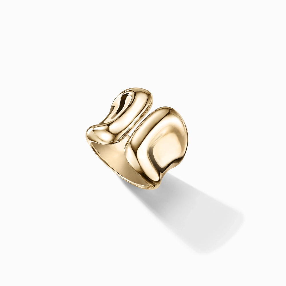 Fluid Ring
