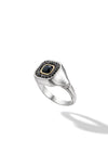 The Signet Flip Ring Eclipse