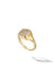 The Signet Flip Ring Golden Hour